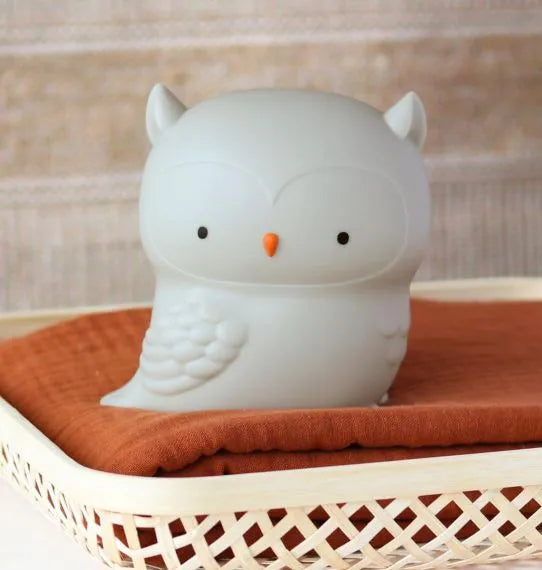 Little Light Owl