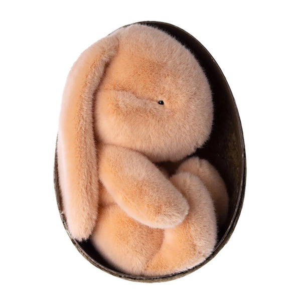 Plush Bunny in Egg