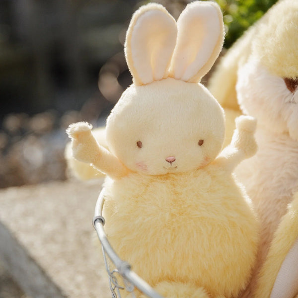 Roly Poly Bunny in Lemongrass