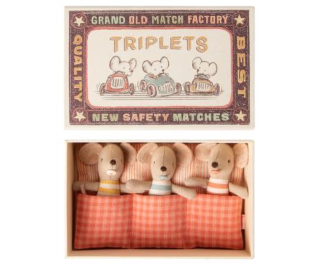 Baby Mice Triplets in a Matchbox