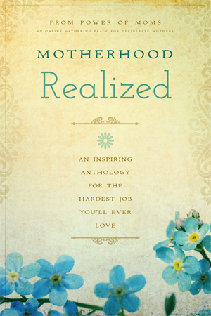 Motherhood Realized, An Inspiring Anthology for the Hardest Job You'll Ever Love - Little Owly